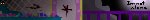 Im not alone